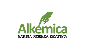 clienti gecos alkemica