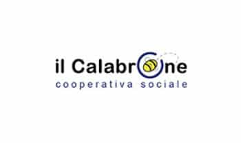 Logo di Comunità Giovanni XXIII Il Calabrone Cooperativa Sociale a Cremona (CR) - Carpenteria e inserimento lavorativo - Cliente Gecos