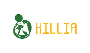 clienti gecos killia