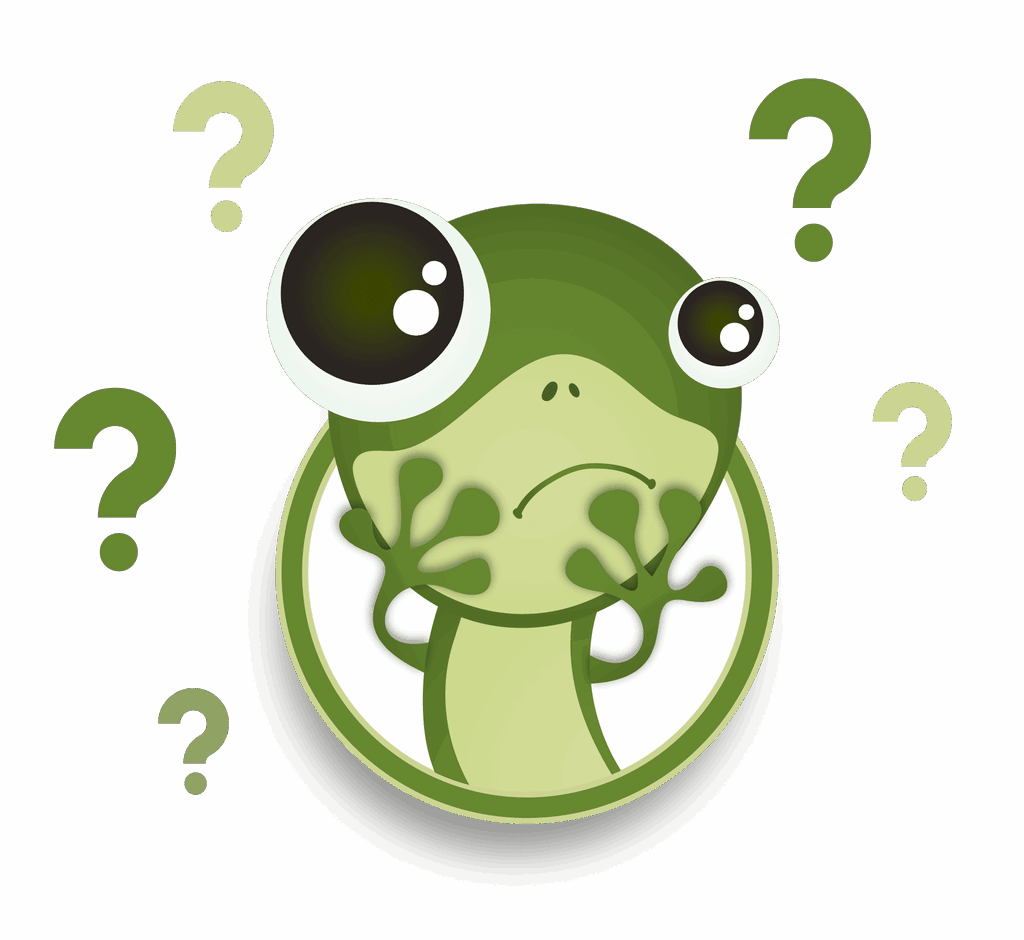 Geco punto domanda 1